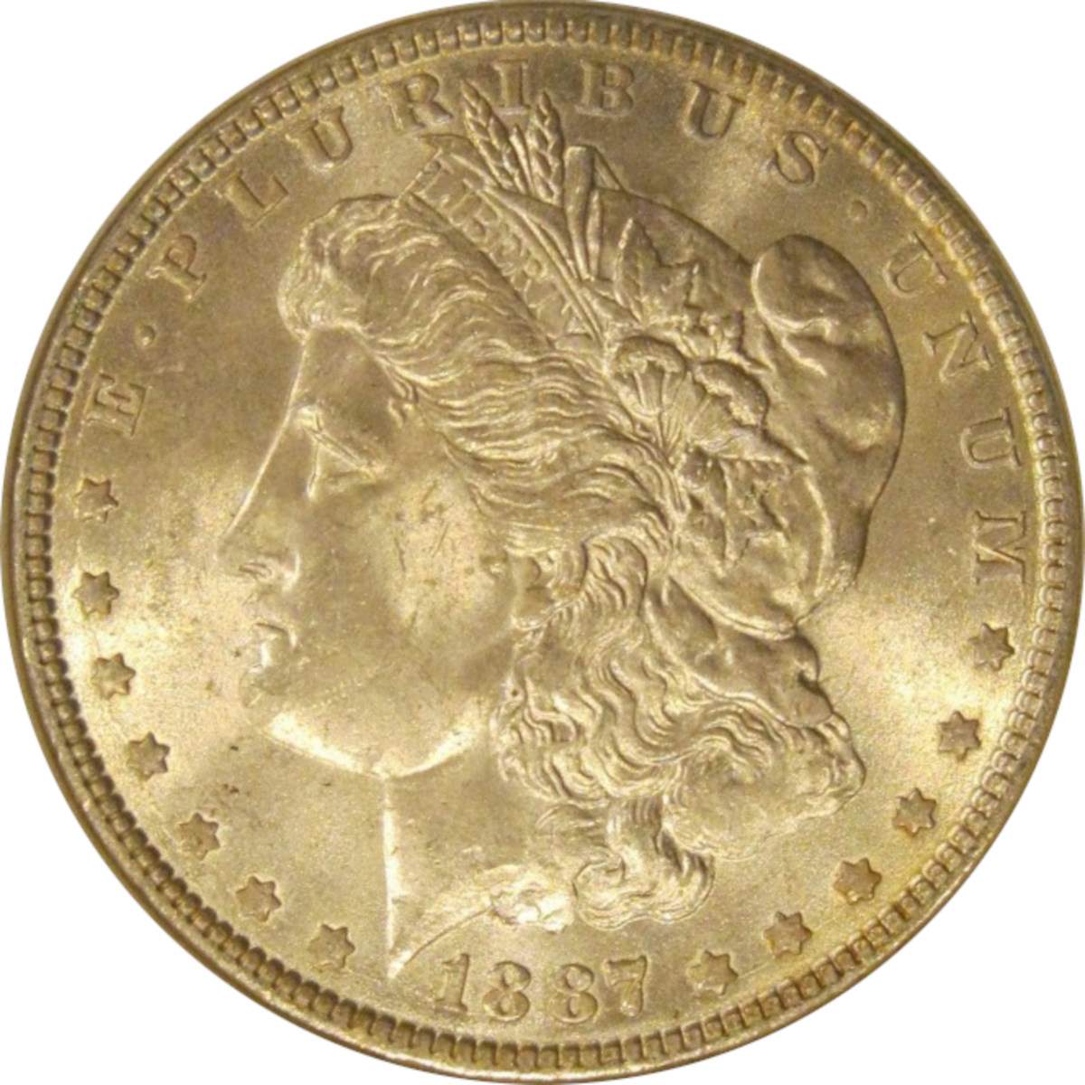1887-$1-Morgan-Dollar-#17